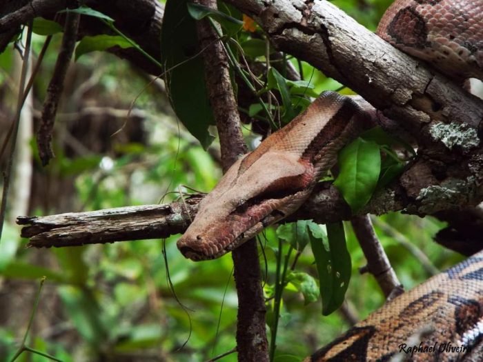 FB_IMG_1696084968608